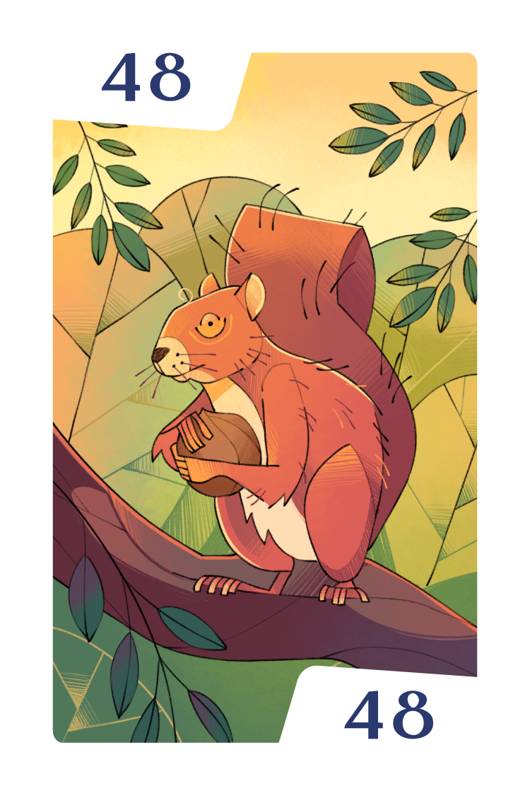 Final board game illustration and packaging: color cards for Mathsylvania featuring a squirrel