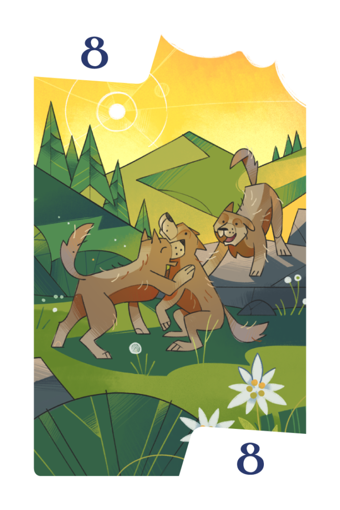 Mathsylvania board game illustration: family wolfs (answer 8)