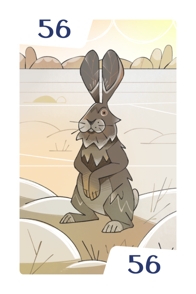 Mathsylvania board game illustration: winter rabbit (answer 56
